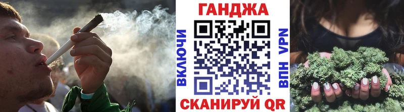 МЕФ Ладушкин