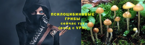 СК Алексин