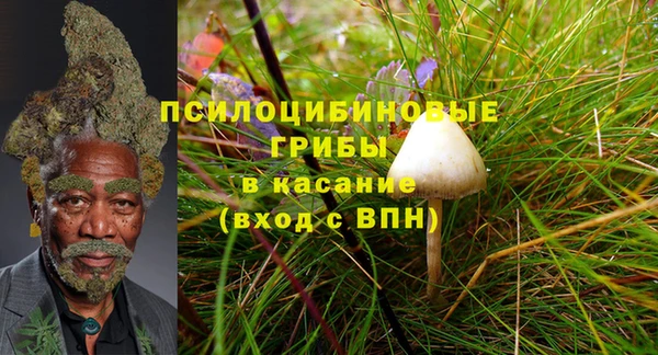 PSILOCYBIN Алексеевка