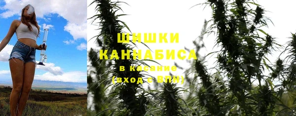 СК Алексин