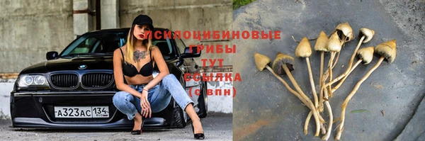 COCAINE Алзамай