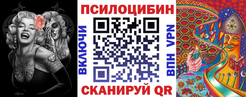 Псилоцибиновые грибы Psilocybine cubensis закладки Ладушкин