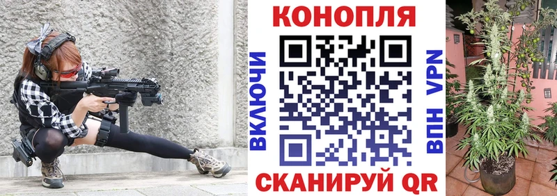 Бошки марихуана план  купить наркоту  Ладушкин 